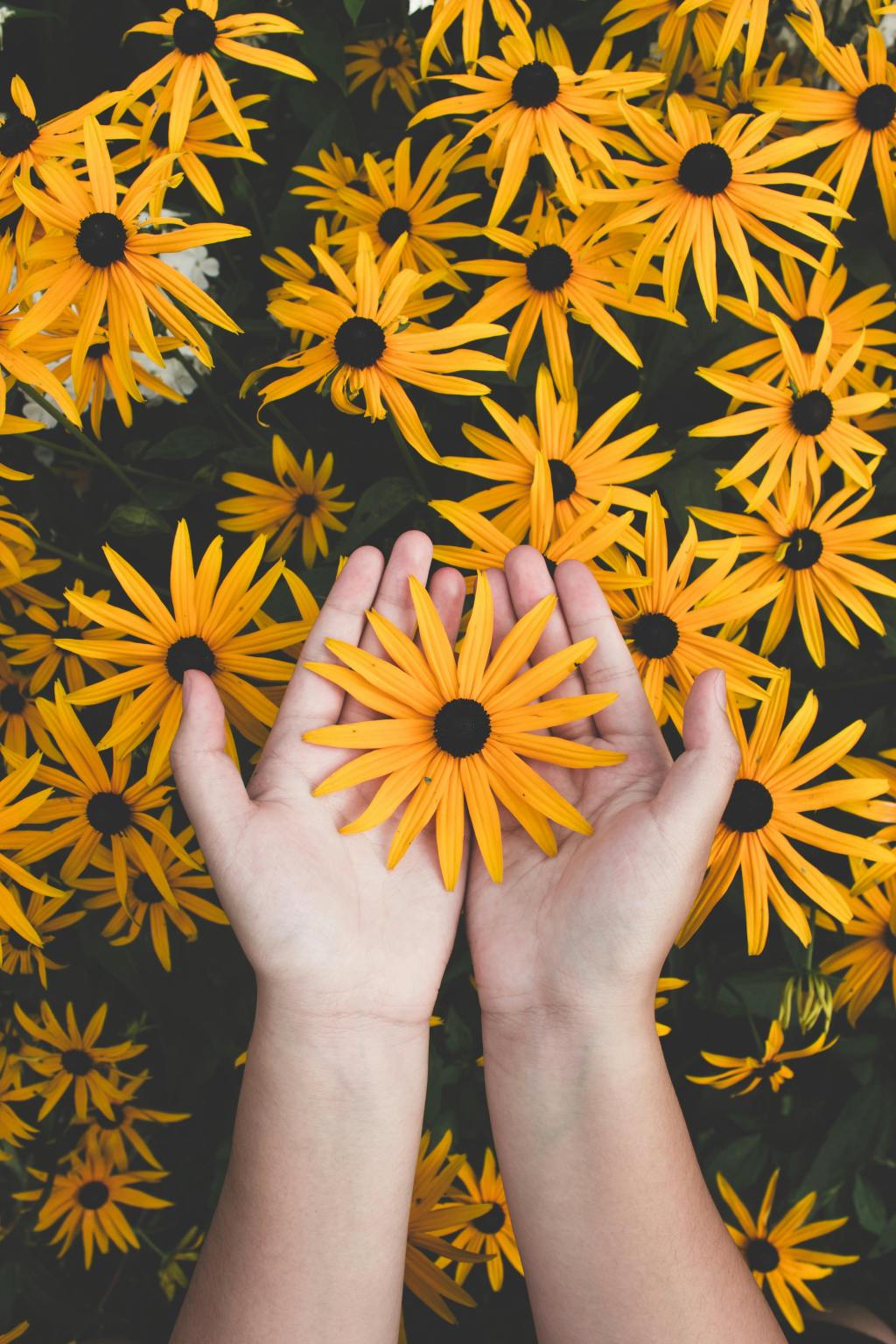 I Am Rising: Breaking Free from the Chains of&nbsp;Yesterday